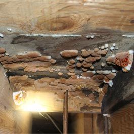 Checking on wall cracks