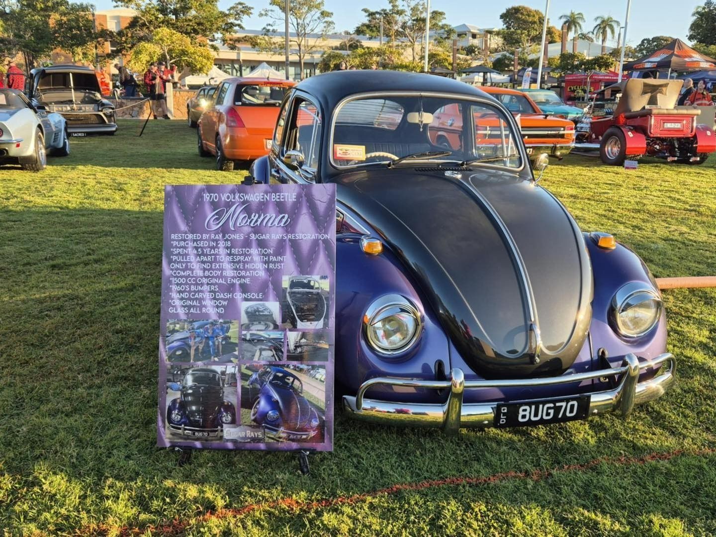 Black Vintage Volkswagen Beetle on Grass at a Car Show — That Printed Vinyl Place in Heatley, QLD