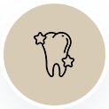 Line-art tooth with stars inside a beige circle background