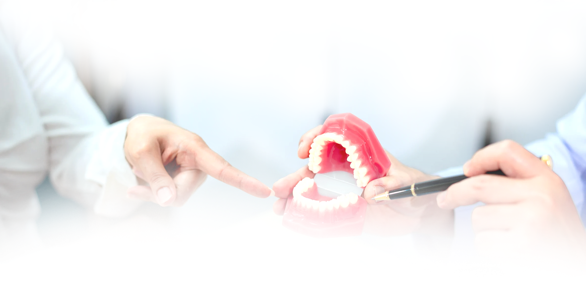 Dentist showing a patient a red dental model with tools in a bright clinic