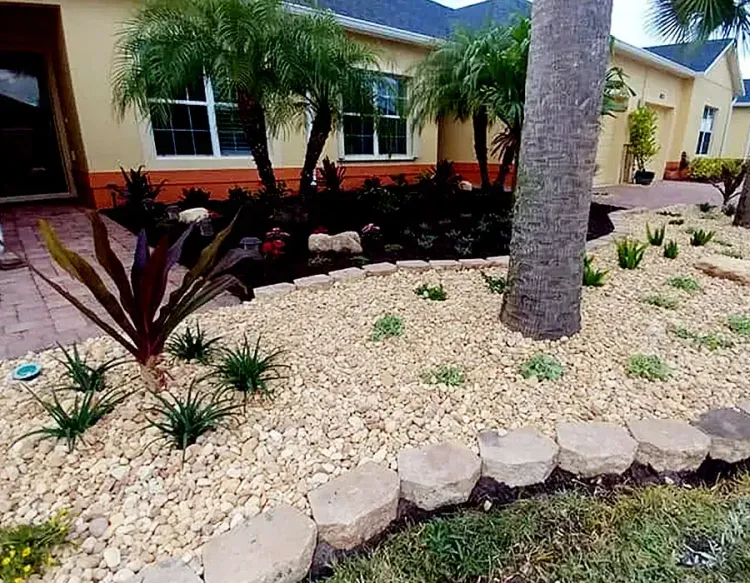 Landscaped front yard with white rocks, small plants, and palm trees beside a yellow house