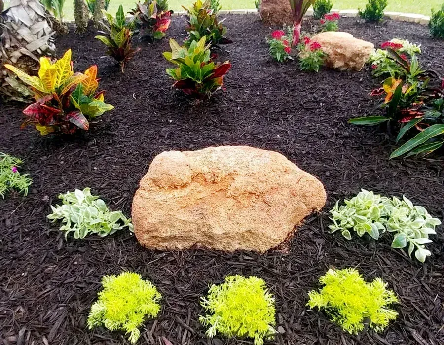 Landscaped garden bed with colorful croton plants and bright green shrubs around a large central rock.