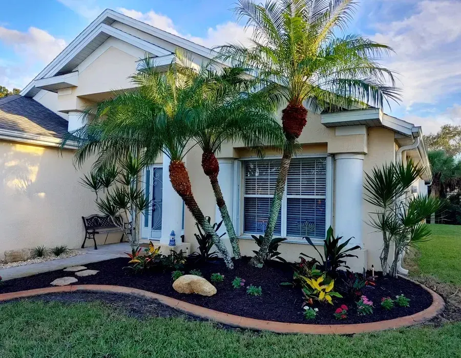 Single-story house with palm trees and a landscaped front yard under a blue sky