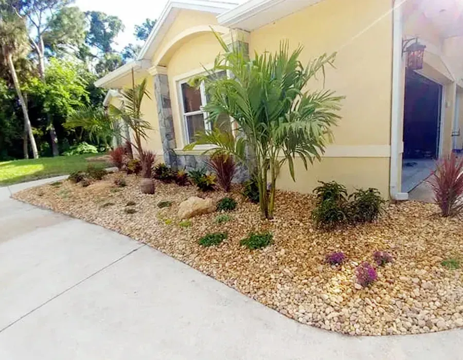 Front of a yellow house with a landscaped rock garden, palm plants, and a concrete driveway