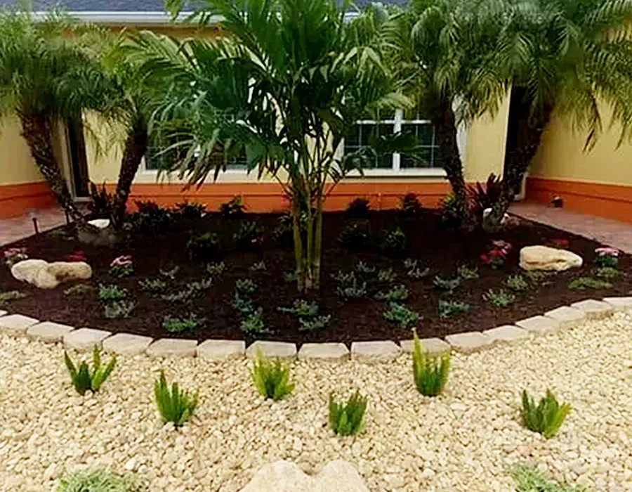 Tropical front garden with palm trees, dark mulch bed, and white gravel border before an orange house