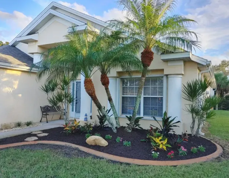 Single-story house with palm trees and a landscaped front yard in a sunny suburban setting
