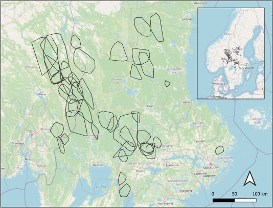 Abb.: Karte des Untersuchungsgebiets in Skandinavien mit den 44 Winterrevieren der durch Telemetrie beobachteten Wölfe. Abb.: Karte des Untersuchungsgebiets in Skandinavien mit den 44 Winterrevieren der durch Telemetrie beobachteten Wölfe.