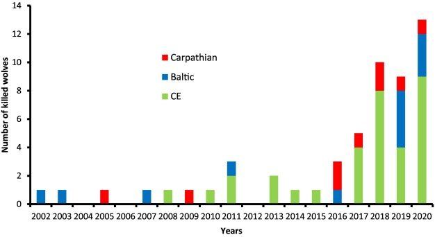 Bild: Anzahl der Wölfe aus Karpaten-, Baltikum- und mitteleuropäischen Populationen unter den in Polen zwischen 2002 und 2020 illegal erlegten Wölfen Bild: Anzahl der Wölfe aus Karpaten-, Baltikum- und mitteleuropäischen Populationen unter den in Polen zwischen 2002 und 2020 illegal erlegten Wölfen
