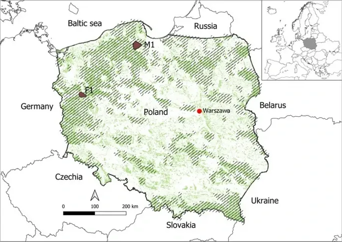 Abb.: Standorte der Untersuchungsgebiete: Revier des Wolfes M1 in der Region Kaschubei und Revier des Wolfes F1 am westlichen Rand des Notecka-Waldes. Schattierter Bereich auf der Karte – Wolfsverbreitungsgebiet im Jahr 2023 Abb.: Standorte der Untersuchungsgebiete: Revier des Wolfes M1 in der Region Kaschubei und Revier des Wolfes F1 am westlichen Rand des Notecka-Waldes. Schattierter Bereich auf der Karte – Wolfsverbreitungsgebiet im Jahr 2023