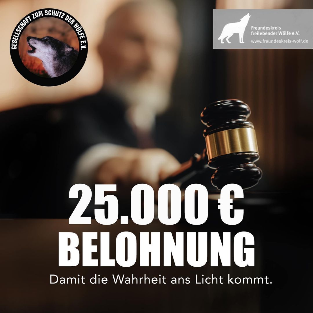 Bild - Belohnung Bild - Belohnung