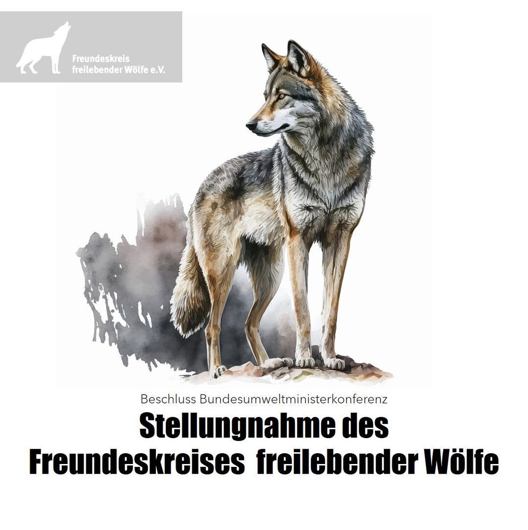 Stellungnahme Stellungnahme