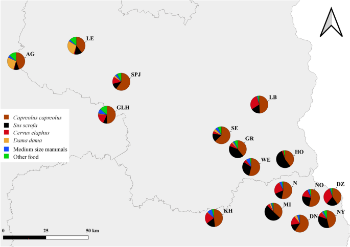 Abbildung: Prozentualer Anteil von Reh (Capreolus capreolus), Wildschwein (Sus scrofa), Rothirsch (Cervus elaphus), Damhirsch (Dama dama), mittelgroßen Säugetieren (Medium size mammals) und anderen (Other food) am Nahrungsspektrum der Wölfe.RES Abbildung: Prozentualer Anteil von Reh (Capreolus capreolus), Wildschwein (Sus scrofa), Rothirsch (Cervus elaphus), Damhirsch (Dama dama), mittelgroßen Säugetieren (Medium size mammals) und anderen (Other food) am Nahrungsspektrum der Wölfe.