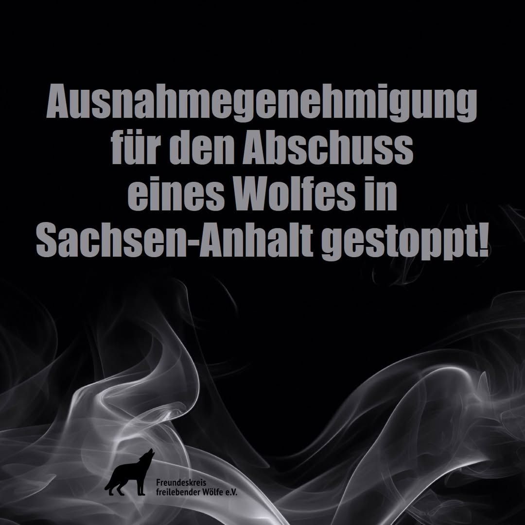Ausnahmegenehmigung gestoppt