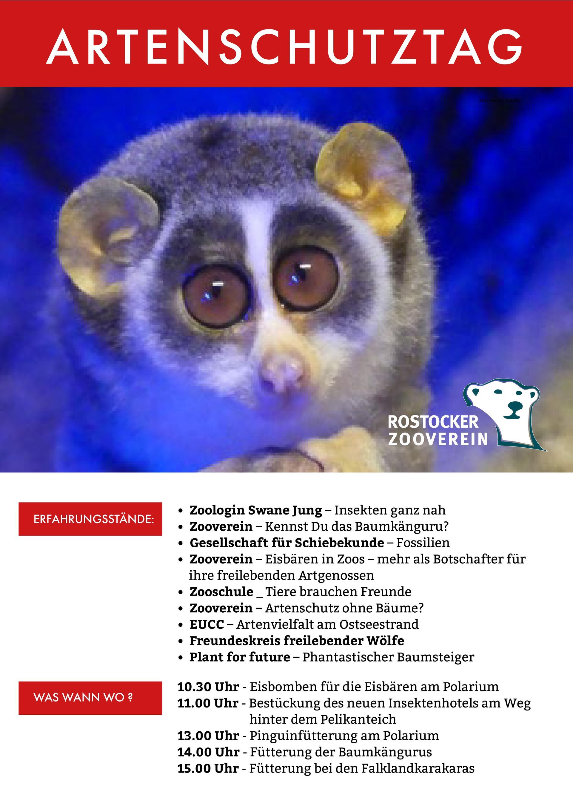 Bild  5 Infostand Zoo Rostock