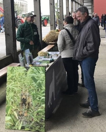 Bild 4 Infostand Ballendorf