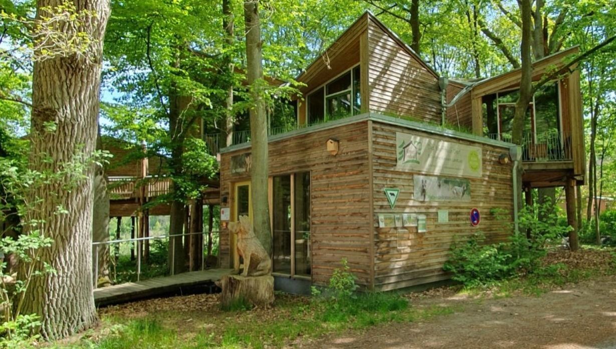 Bild Baumhäuser beim BioHotel Kenners Landlust