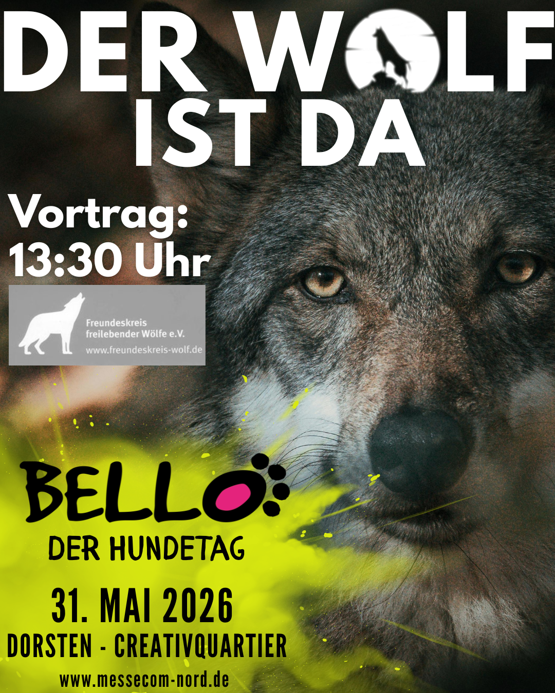 Vortrag Bello Der Hundetag