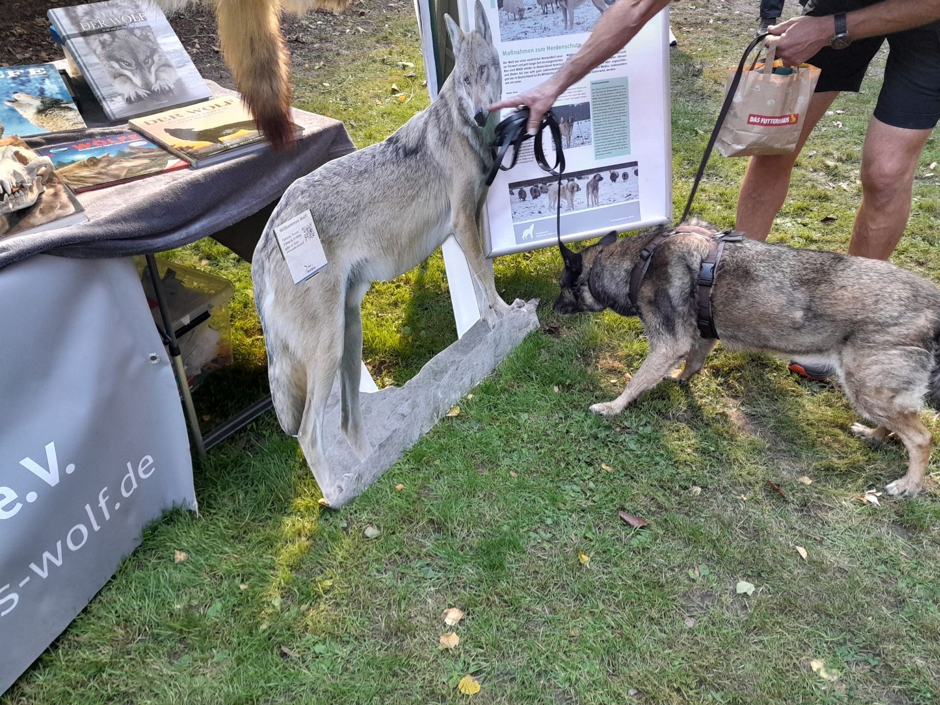 Bild 3 Infostand im Franziskustierheim Hamburg