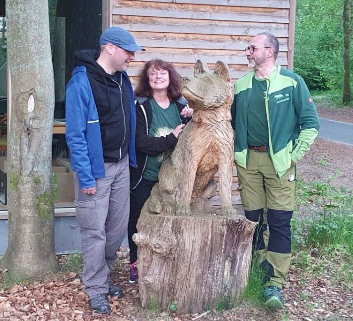 Bild Wolfswanderung in der Göhrde Bild Wolfswanderung in der Göhrde