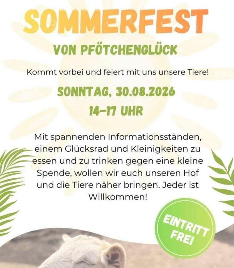 Bild 5 Infostand in Gifhorn