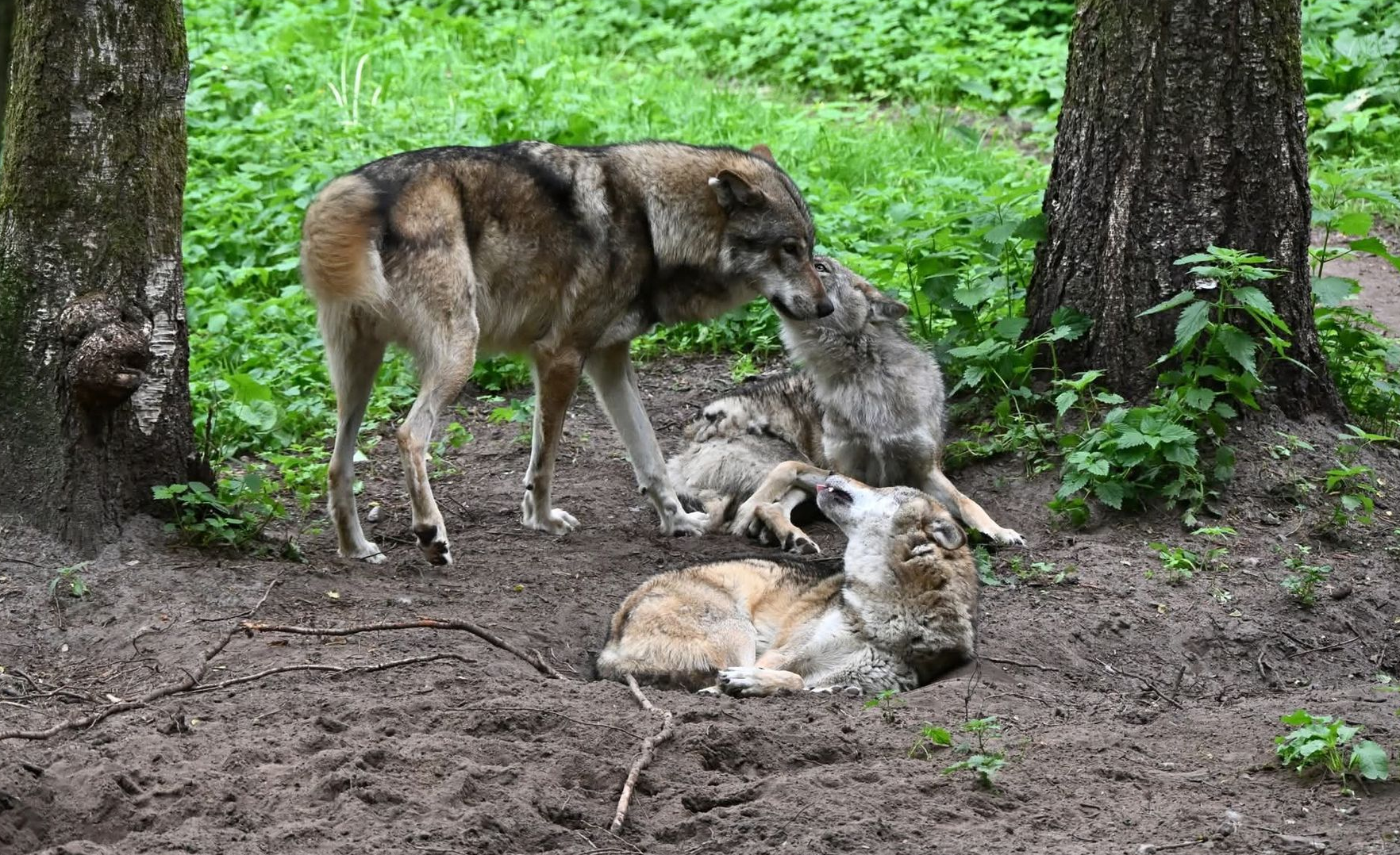 Bild 2 Infotreffen der AG Nord