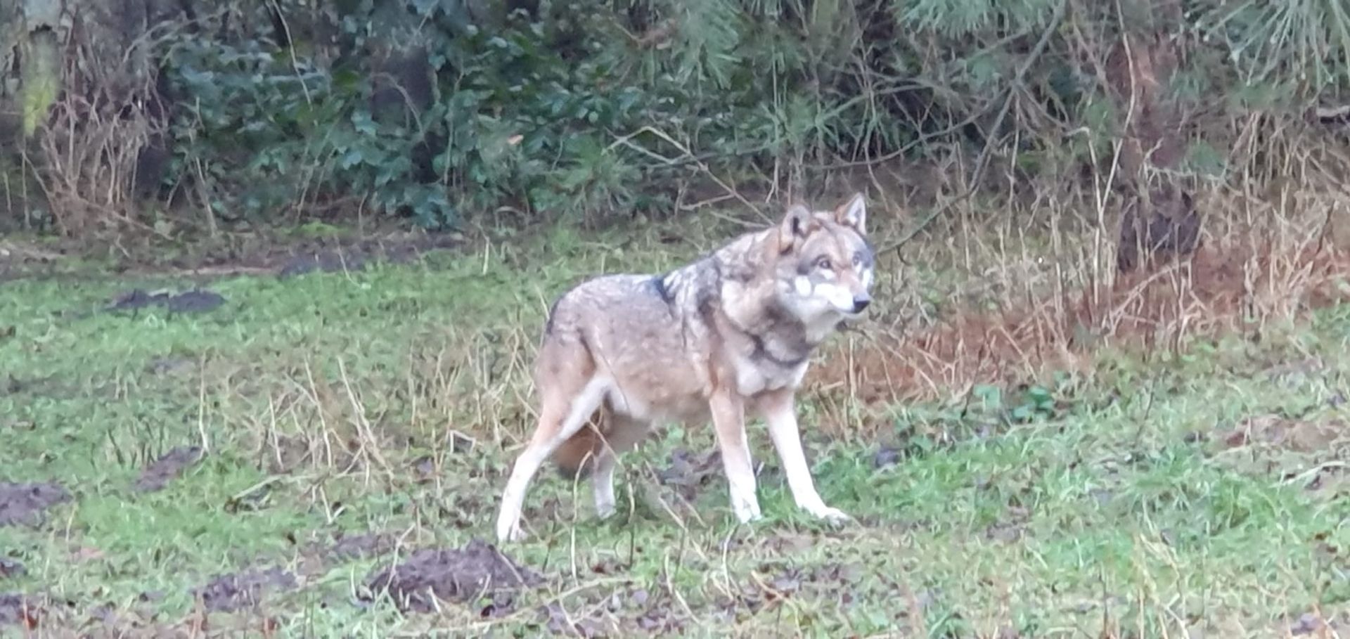 Bild 4 Info-Treffen der AG Nord