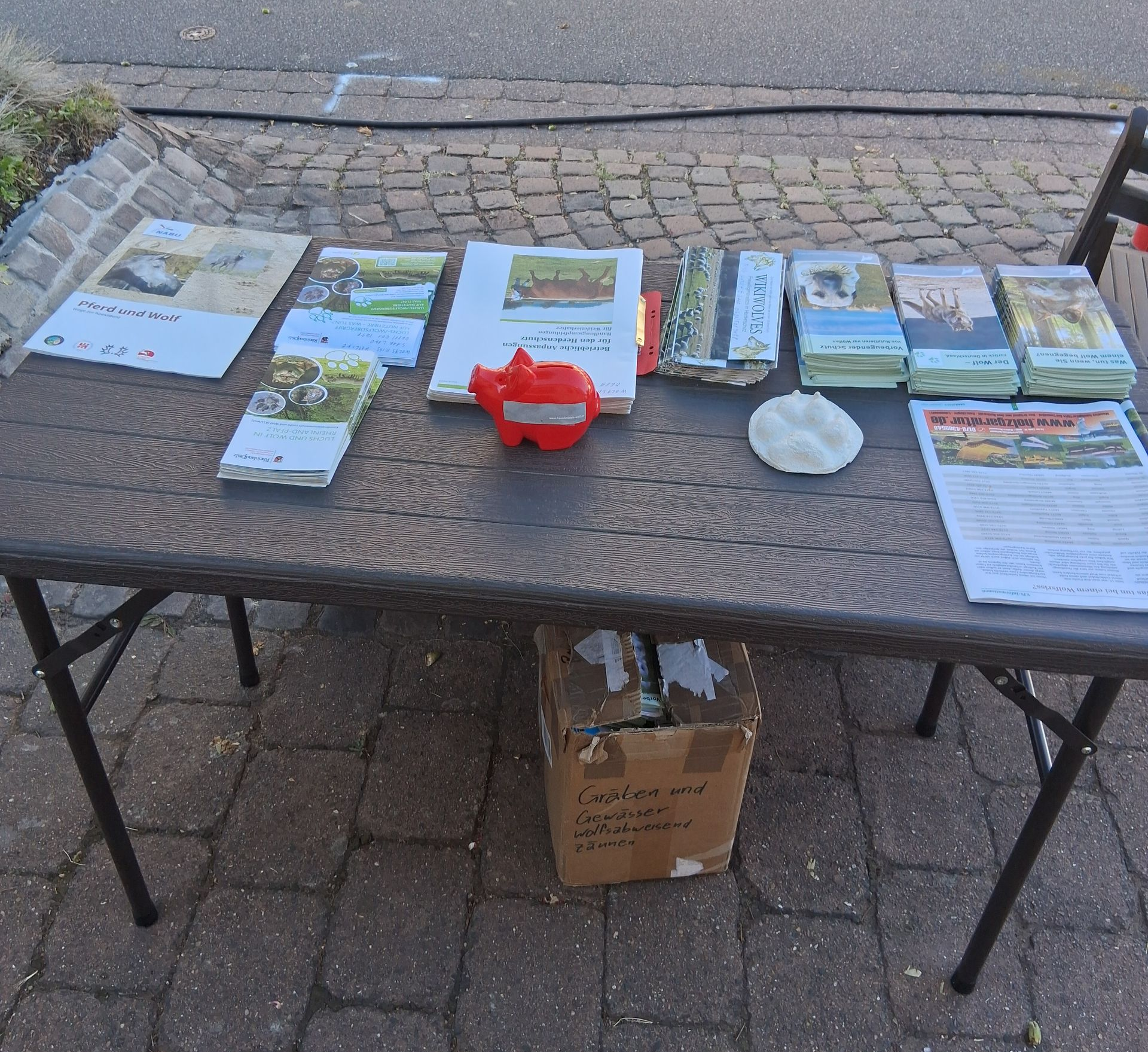 Bild 1 Infostand Kirkel