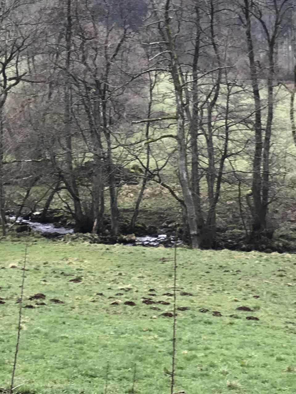 Bild Die zu pflegende Landschaft Bild Die zu pflegende Landschaft