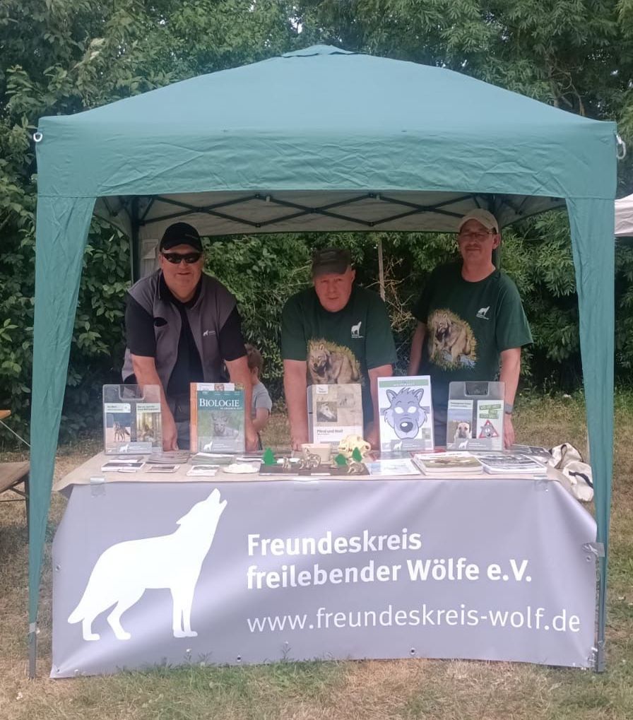 Bild Infostand beim Sommerfest der Freiwilligen Feuerwehr Neindorf 