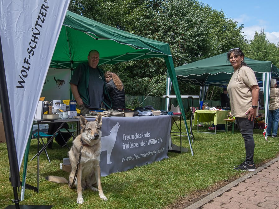 Bild 4 Infostand im Tierheim Osterode