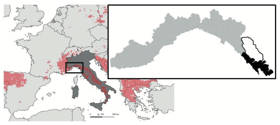 Abb.: Der Ausschnitt zeigt die Region Ligurien (in grau) und die Provinz La Spezia (in fett) Abb.: Der Ausschnitt zeigt die Region Ligurien (in grau) und die Provinz La Spezia (in fett)