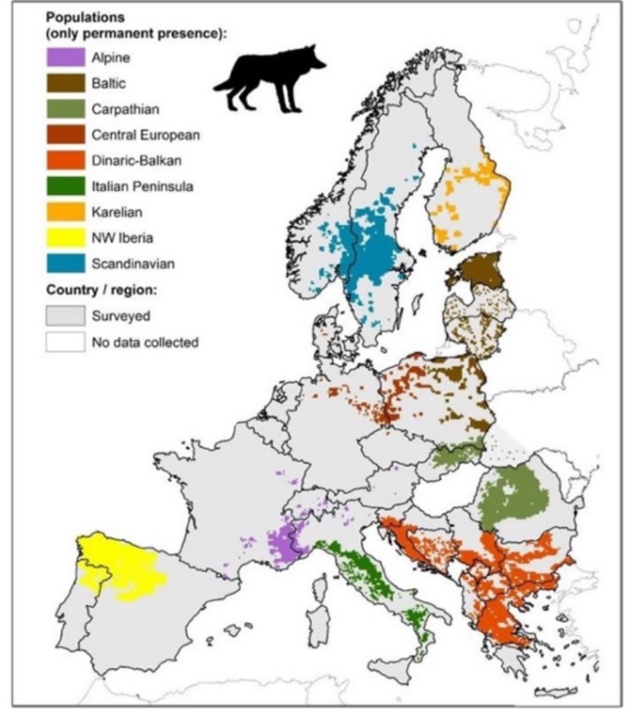 Abbildung: Der Status des Wolfs in Europa im Jahr 2015. Abbildung: Der Status des Wolfs in Europa im Jahr 2015.