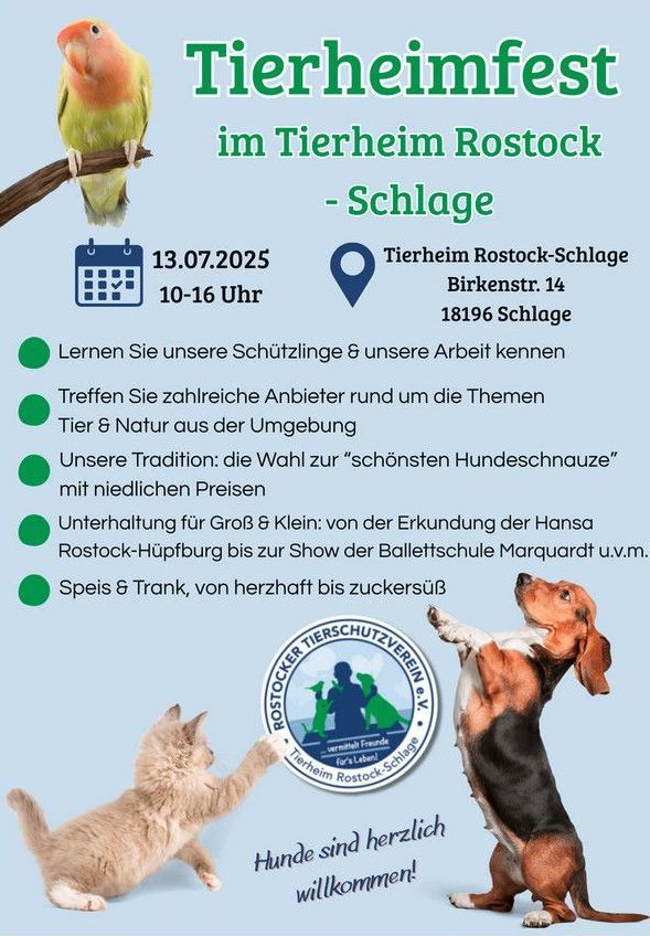 Bild 1 Infostand Rostock-Schlage