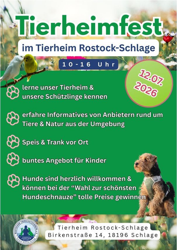 Bild 1 Infostand Tierheim Rostock-Schlage