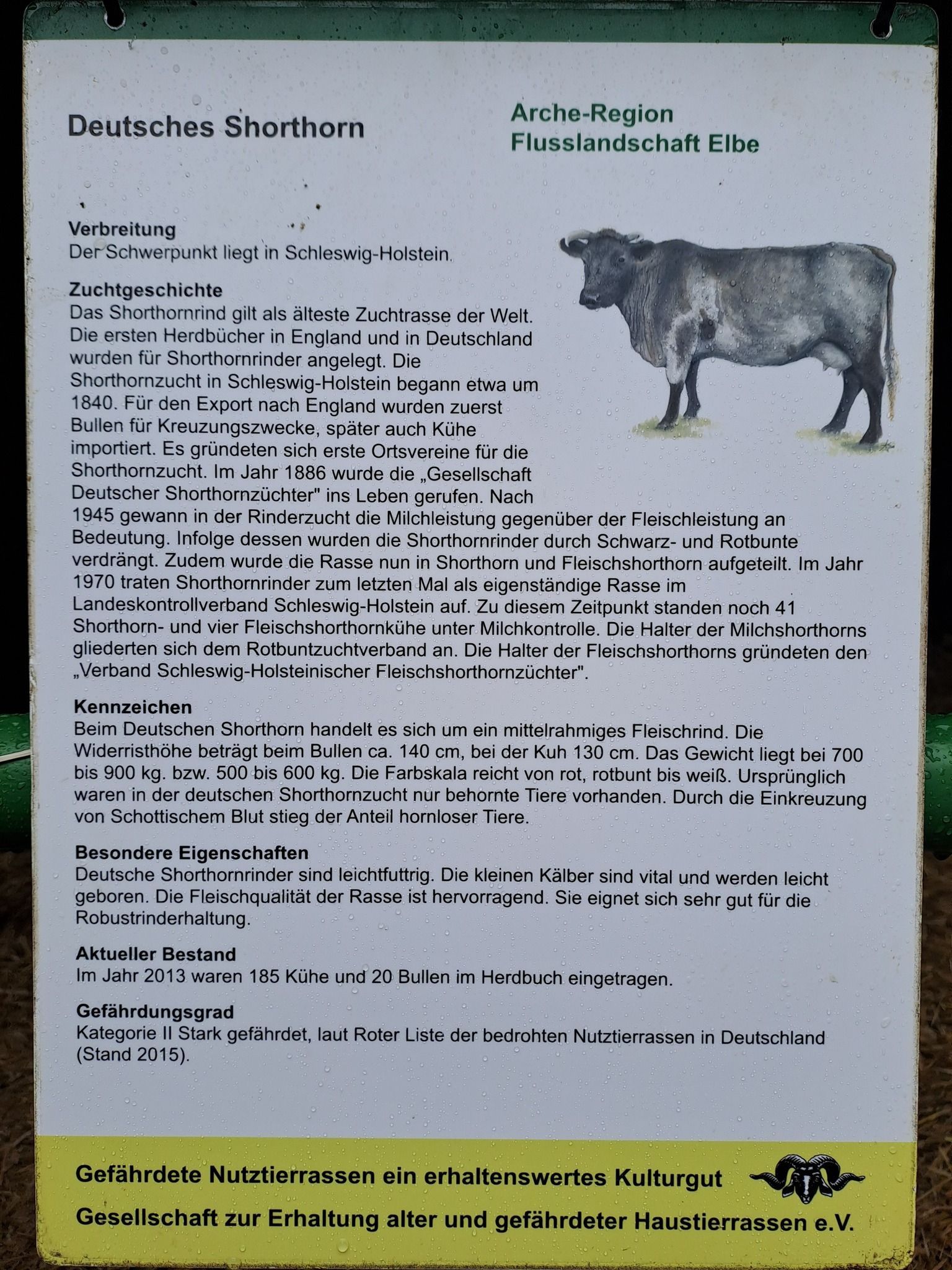 Bild 4 Infostand Rullstorf