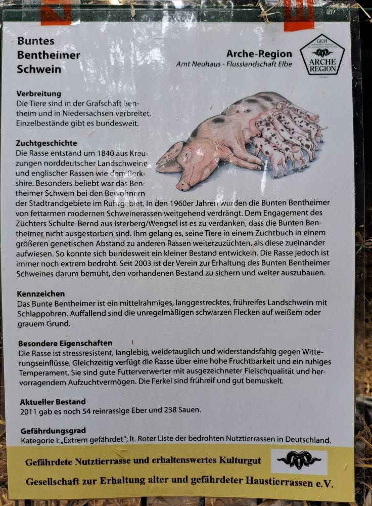 Bild 5 Infostand Rullstorf