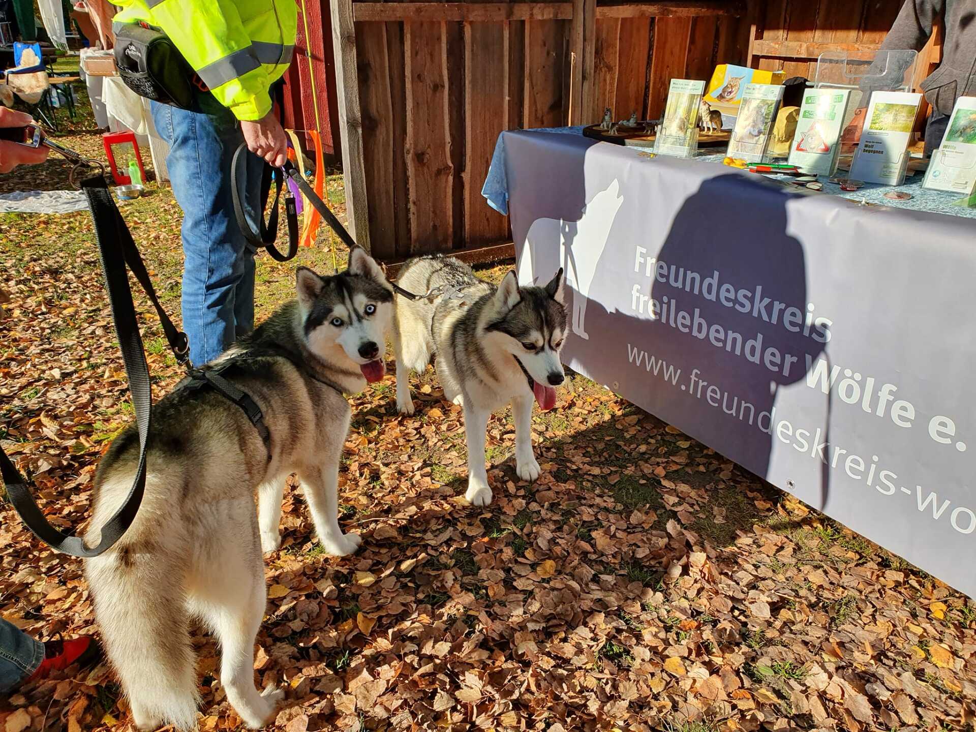 Bild 3 Infostand Trappenkamp