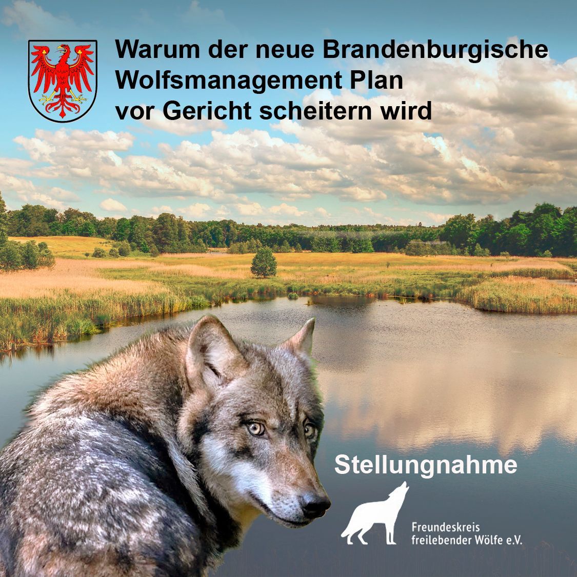 Stellungnahme WMP BB Stellungnahme WMP BB