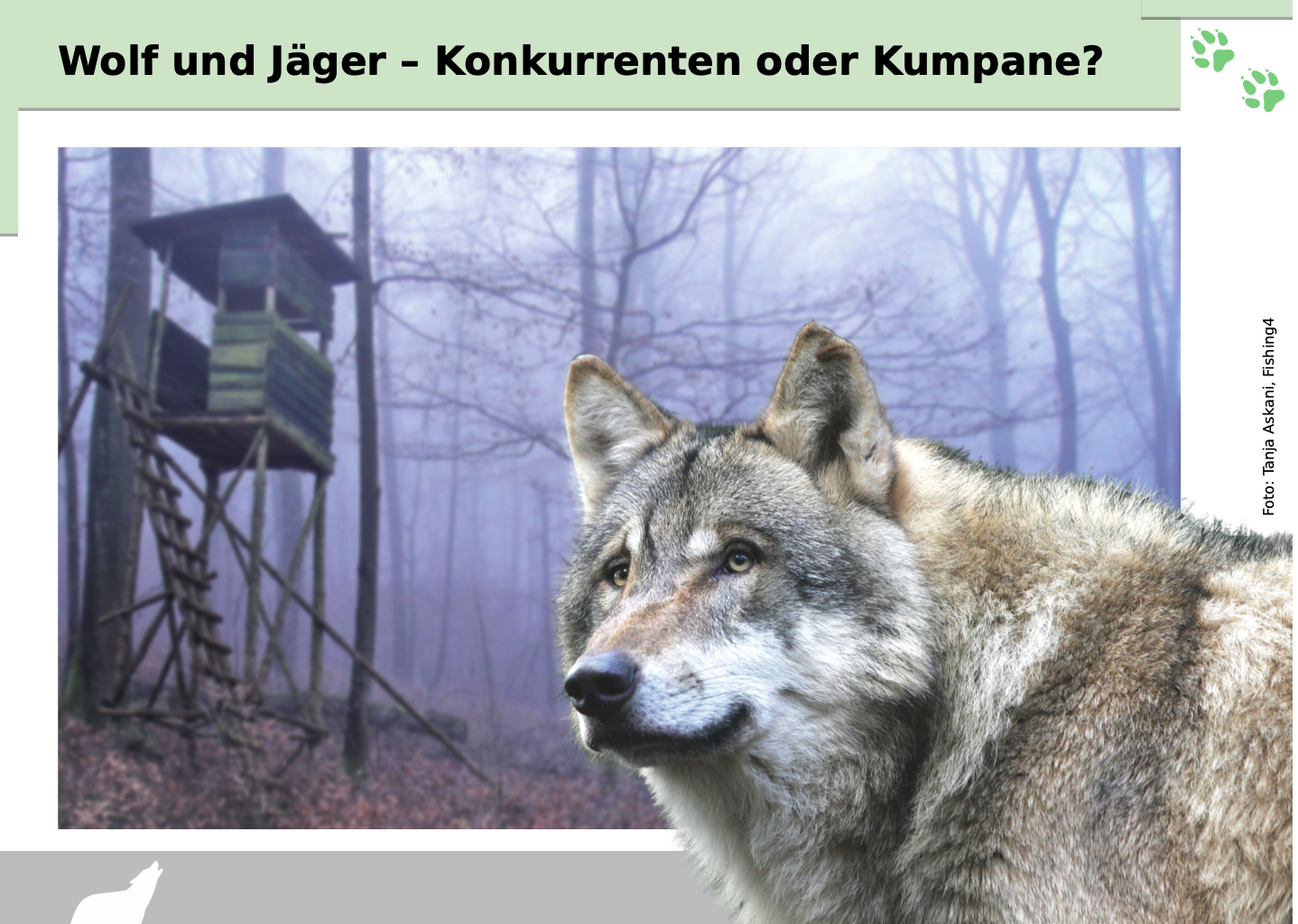 Bild Vortrag in Kritzmow