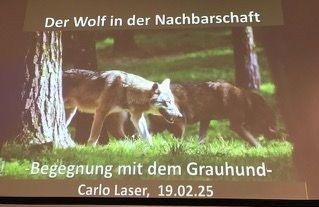Bild Vortrag von Wolfsberater Carlo Laser 