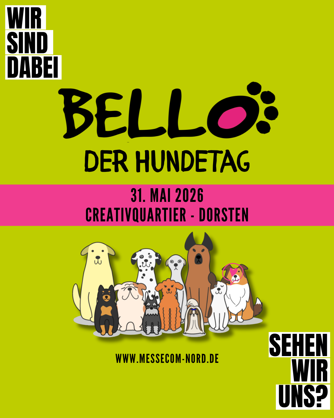 Flyer Bello Der Hundetag