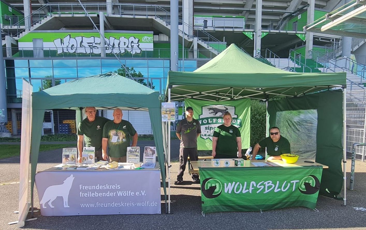 Bild Infostand beim Familienfest des VFL Wolfsburg 