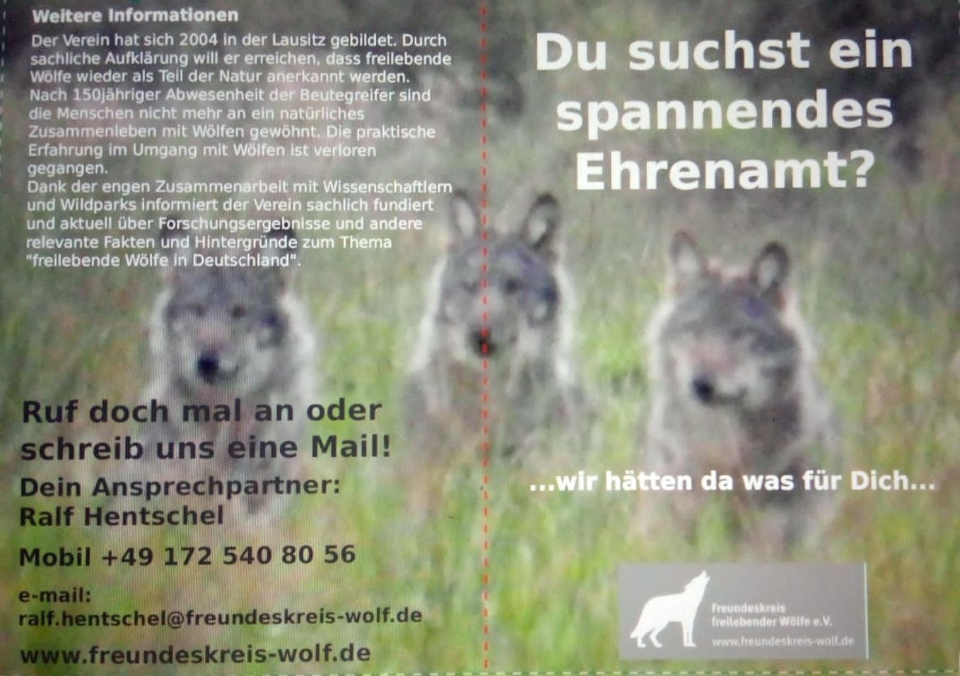 Bild  4 Infostand Wolfsburg