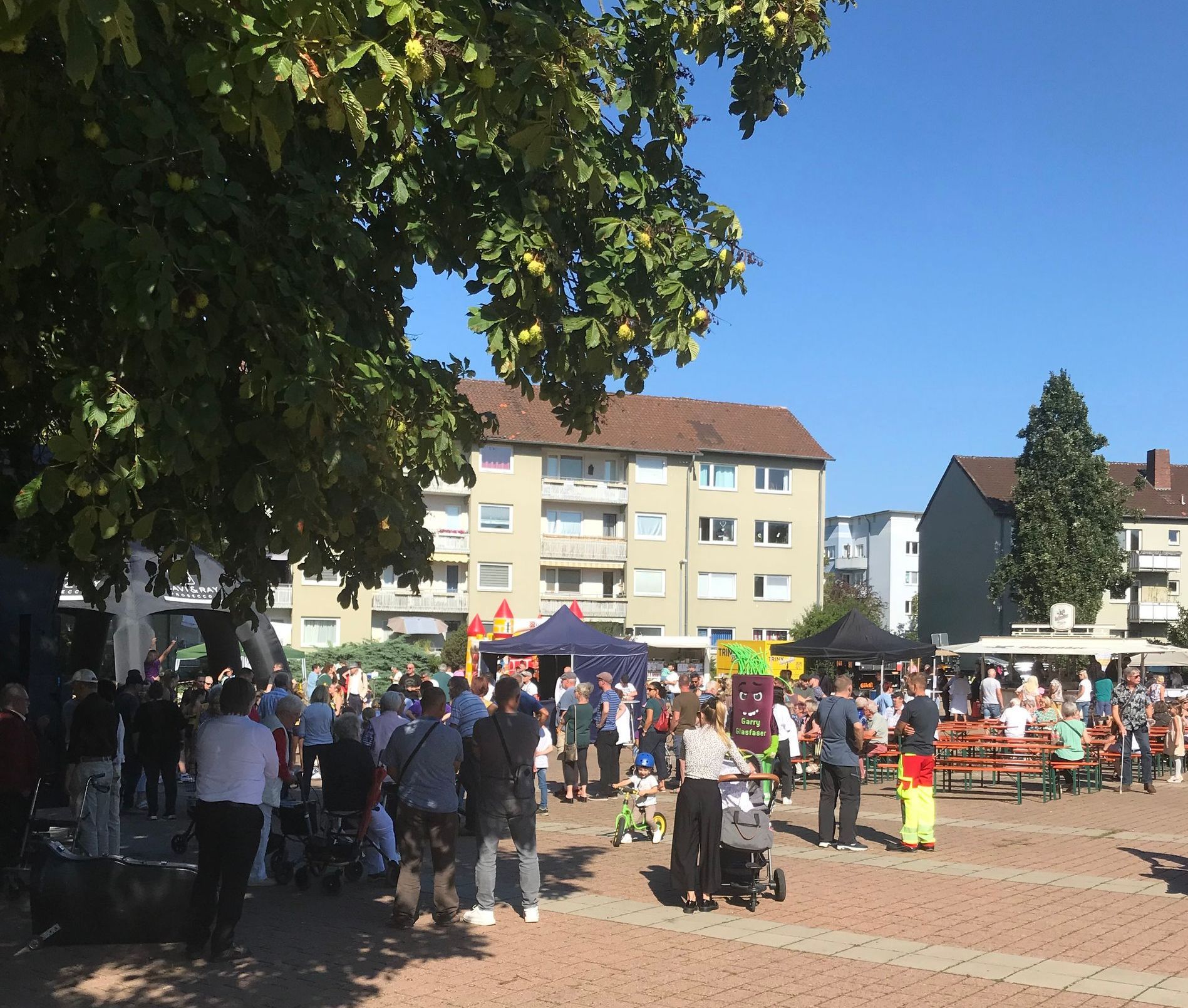 Bild  3 Infostand Benefizfest Wolfsburg