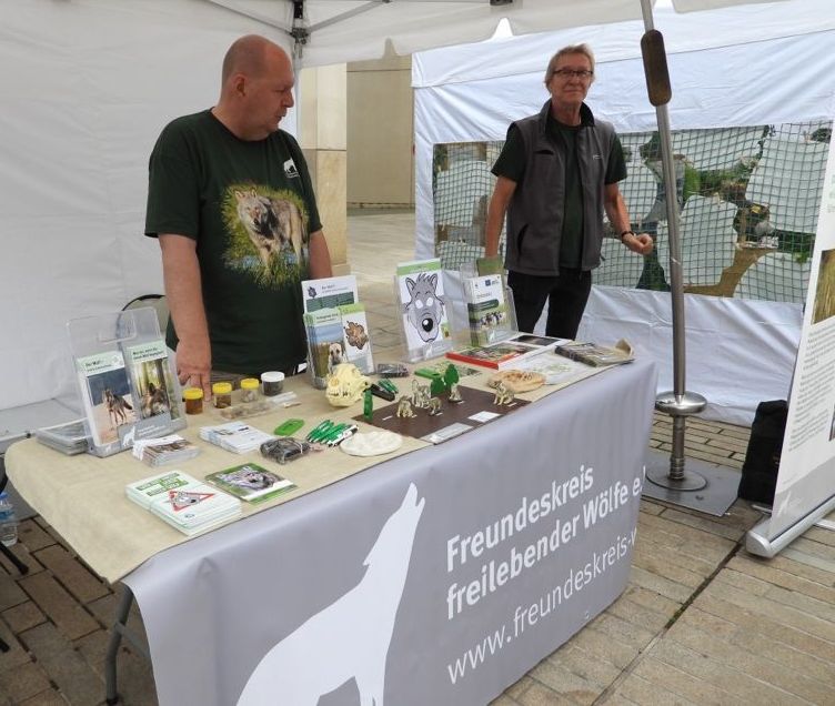 Bild Infostand bei 85 Jahre Wolfsburg Bild Infostand bei 85 Jahre Wolfsburg
