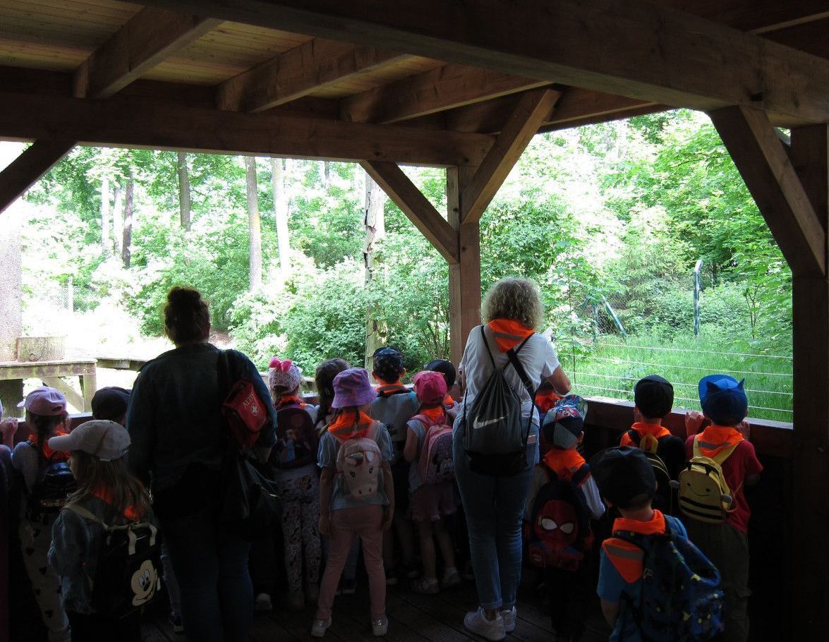 Bild 3 Infostand im Tierpark Wolgast