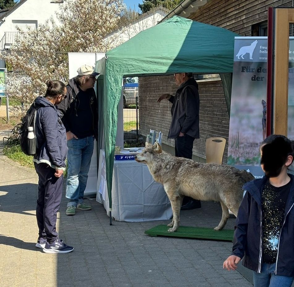 Bild 4 Infostand Wuppertal
