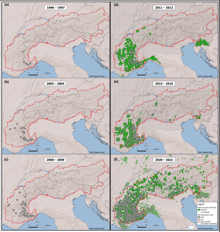 Abb.: Verteilung der Reproduktionseinheiten in den Alpen in den Jahren 1996-1997 (a), 2003-2004 (b) und 2008-2009 (c), zusammen mit dem Wolfsvorkommen für 2011-2012 (d), 2015-2016 (e) und 2020-2021 (f) Abb.: Verteilung der Reproduktionseinheiten in den Alpen in den Jahren 1996-1997 (a), 2003-2004 (b) und 2008-2009 (c), zusammen mit dem Wolfsvorkommen für 2011-2012 (d), 2015-2016 (e) und 2020-2021 (f)