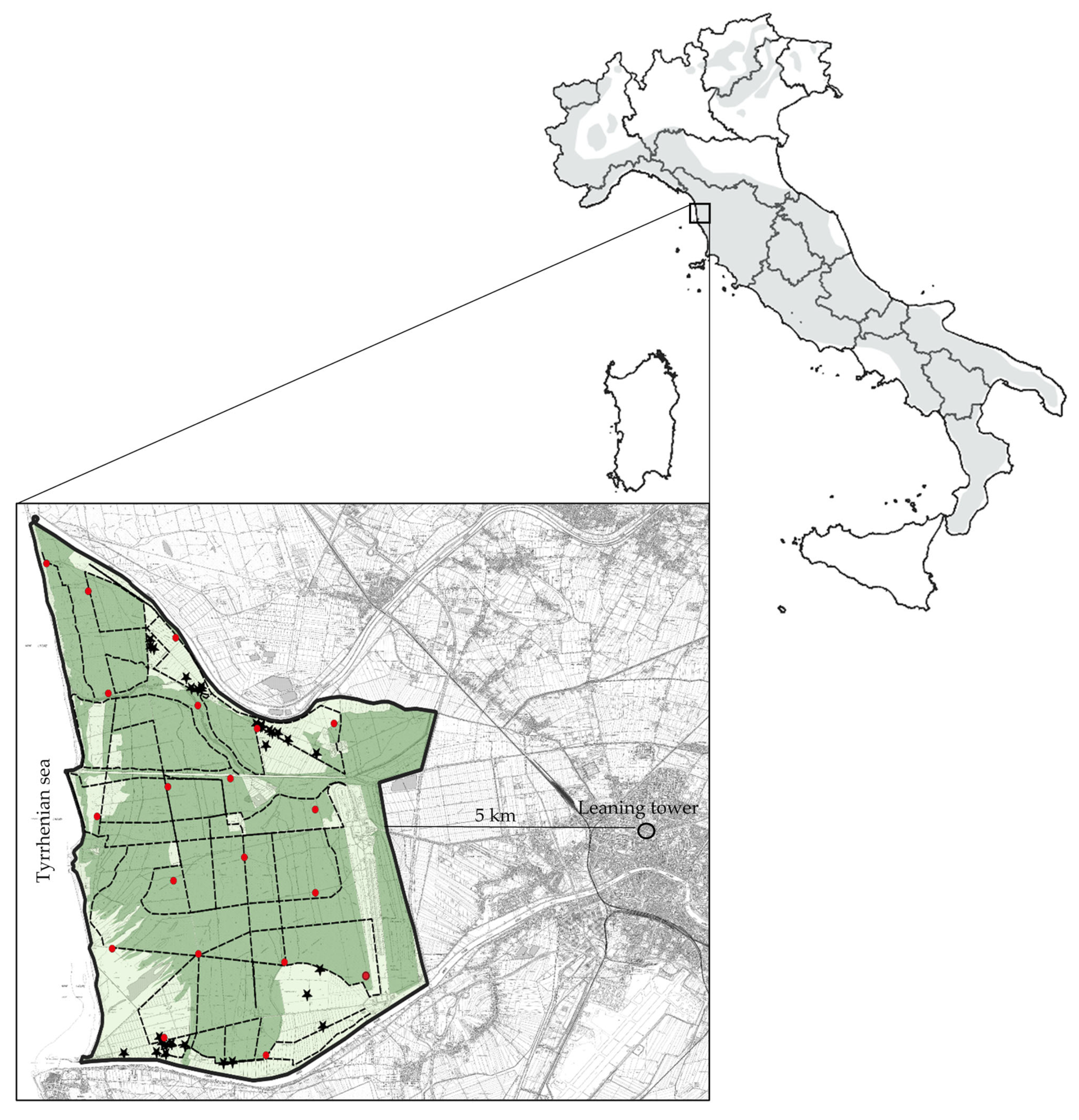 Bild: Das Untersuchungsgebiet 5 km westlich von Pisa, Italien.