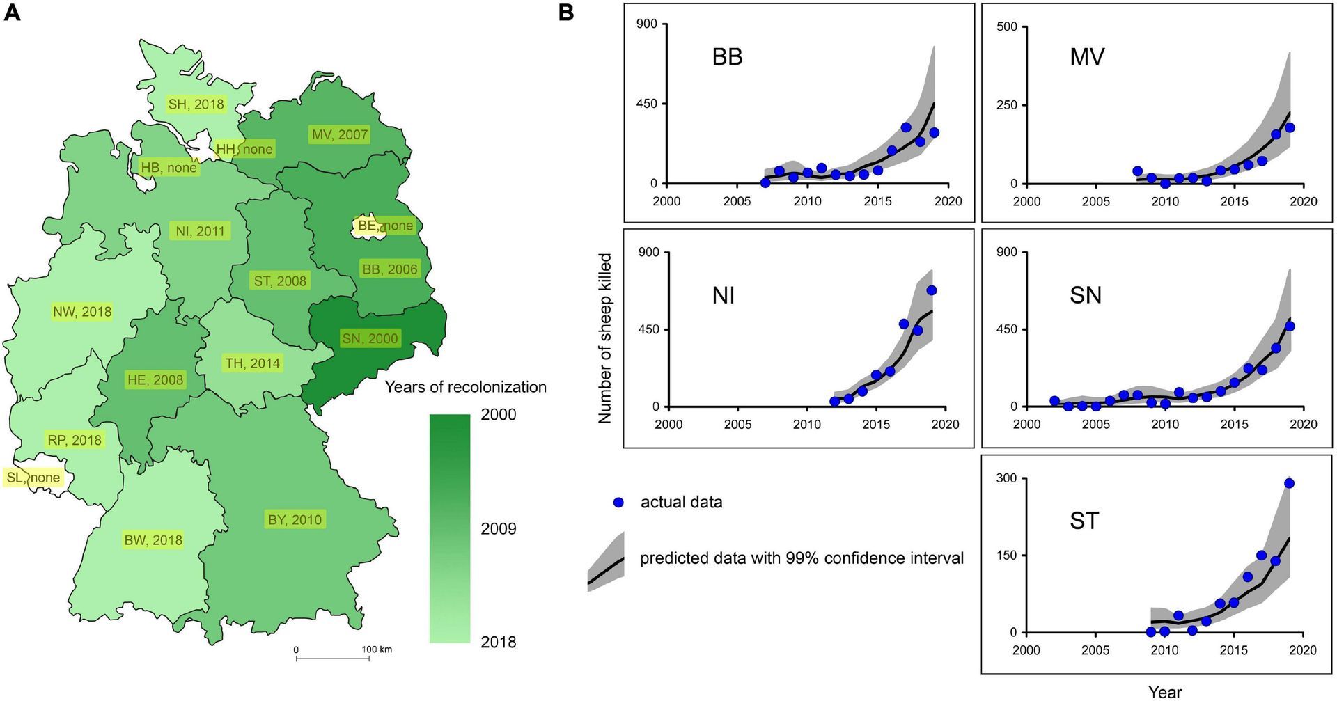 Bild: Die (A) Karte zeigt die deutschen Bundesländer und die Jahre ihrer Wiederbesiedlung durch Wölfe und (B) die Diagramme der tatsächlichen und prognostizierten Anzahl der von Wölfen getöteten Schafe in den Bundesländern über die Jahre